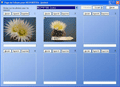 l'album de votre collection de cactus