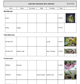 liste de votre collection